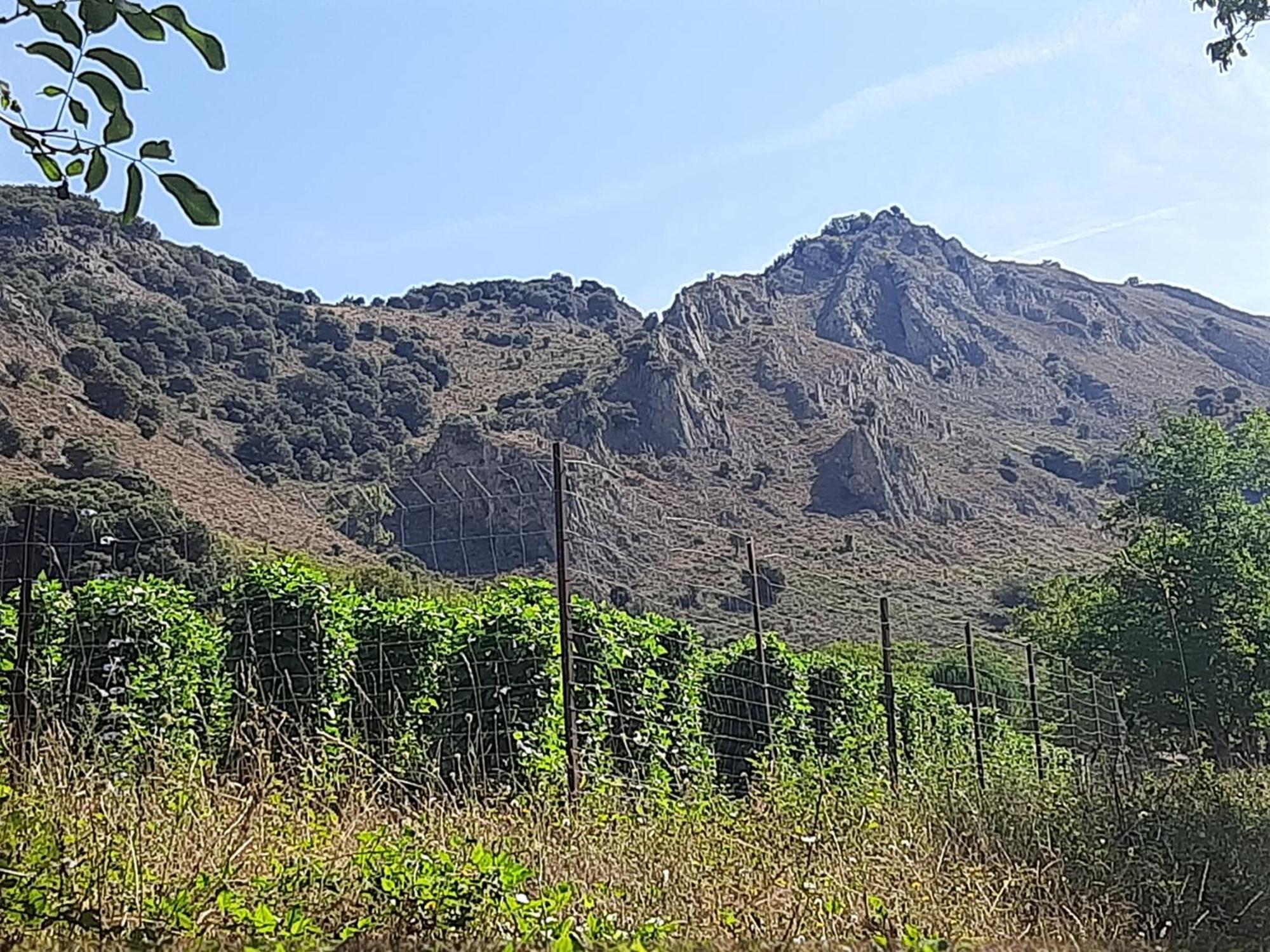 Las Ildas Anguiano Exterior foto
